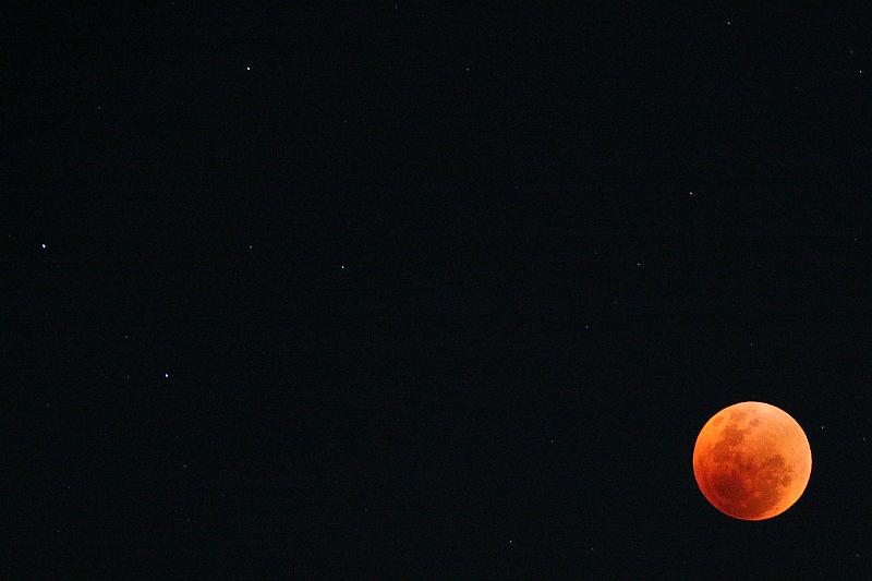 IMG_3023 Cropped.jpg